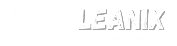 Leanix